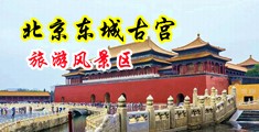 午夜风骚少妇激情videos中国北京-东城古宫旅游风景区